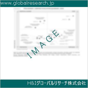 グローバルリサーチ調査資料のイメージ